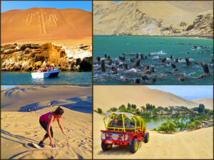 3 lugares que ver en Paracas