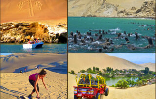 3 lugares que ver en Paracas
